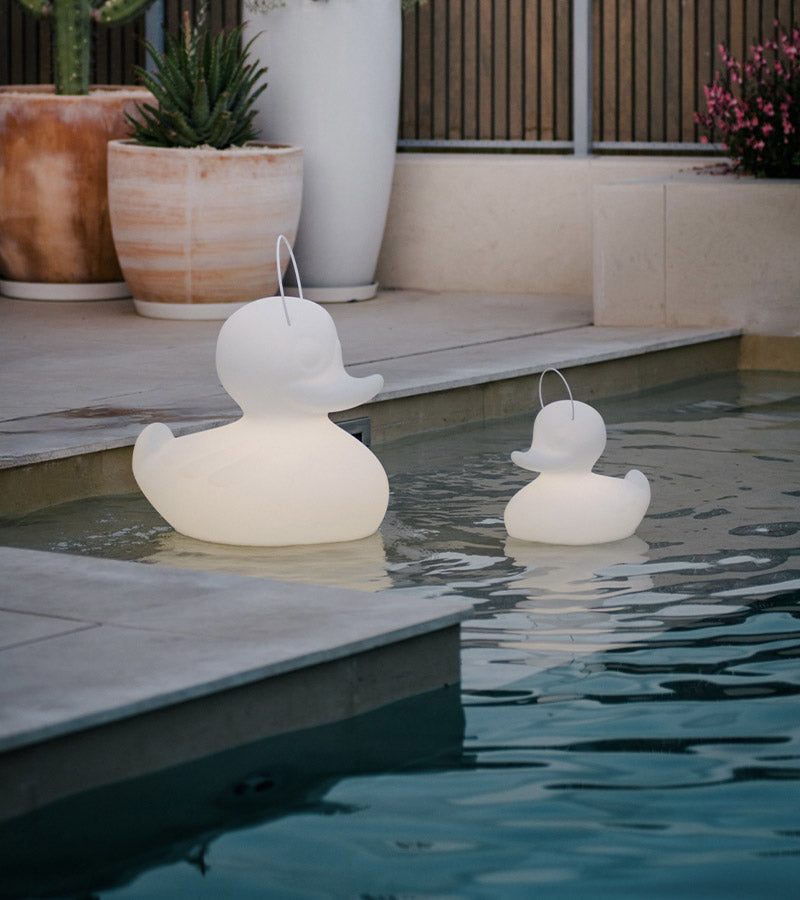 Veilleuse canard flottante