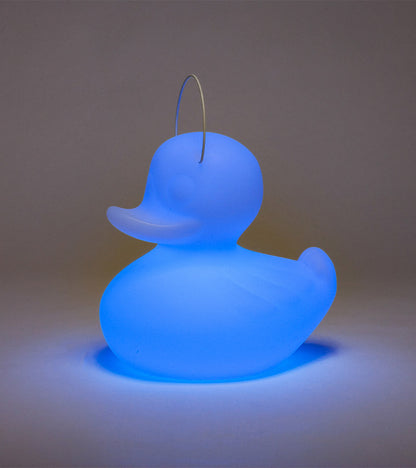 Veilleuse canard flottante