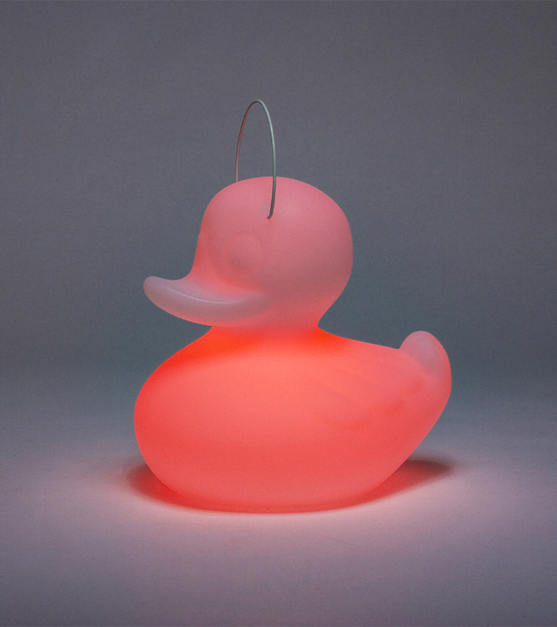 Veilleuse canard flottante