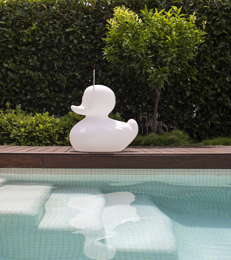 Veilleuse canard flottante