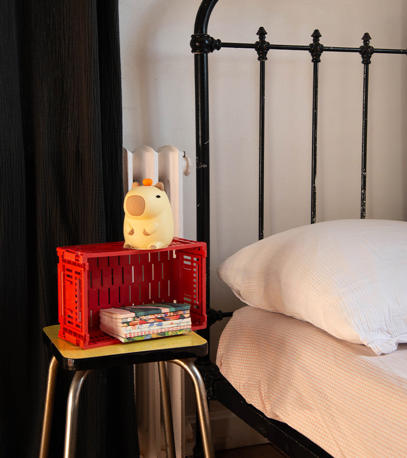 Bernard, la veilleuse capybara