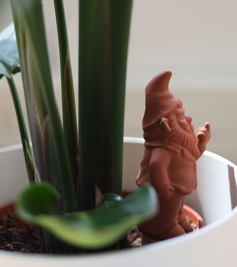 Gnome Terracotta irrigateur de plantes