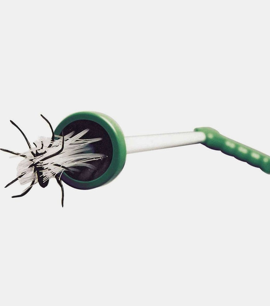 Attrape-insectes Transparent - Pour Observer Araignées, Papillons... - Design Ergonomique, Facile à Utiliser (maison & Jardin)
