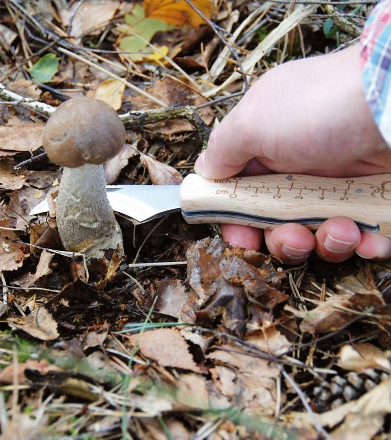 Couteau à champignons avec brosse
