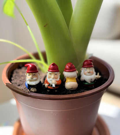 Mini gnomes de jardin effrontés 