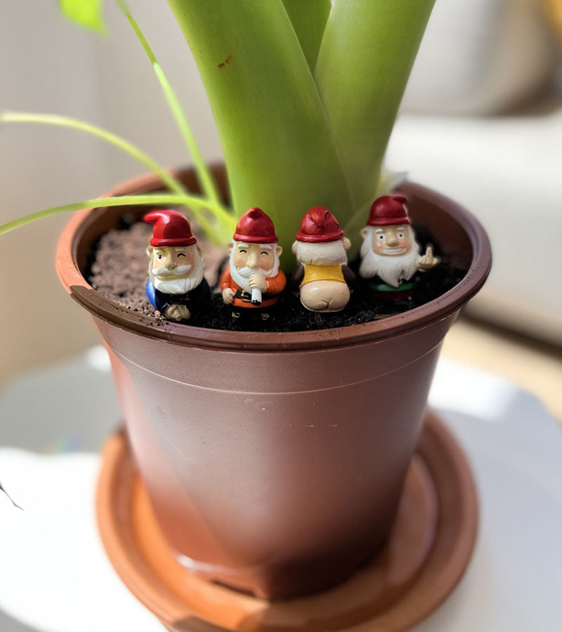 Mini gnomes de jardin effrontés