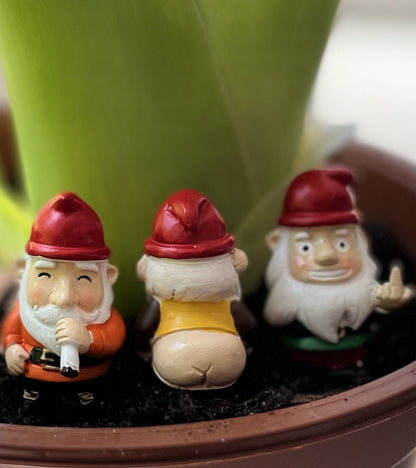 Mini gnomes de jardin effrontés 
