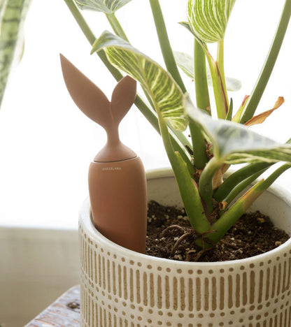 Irrigateur en terre cuite  Kikkerland