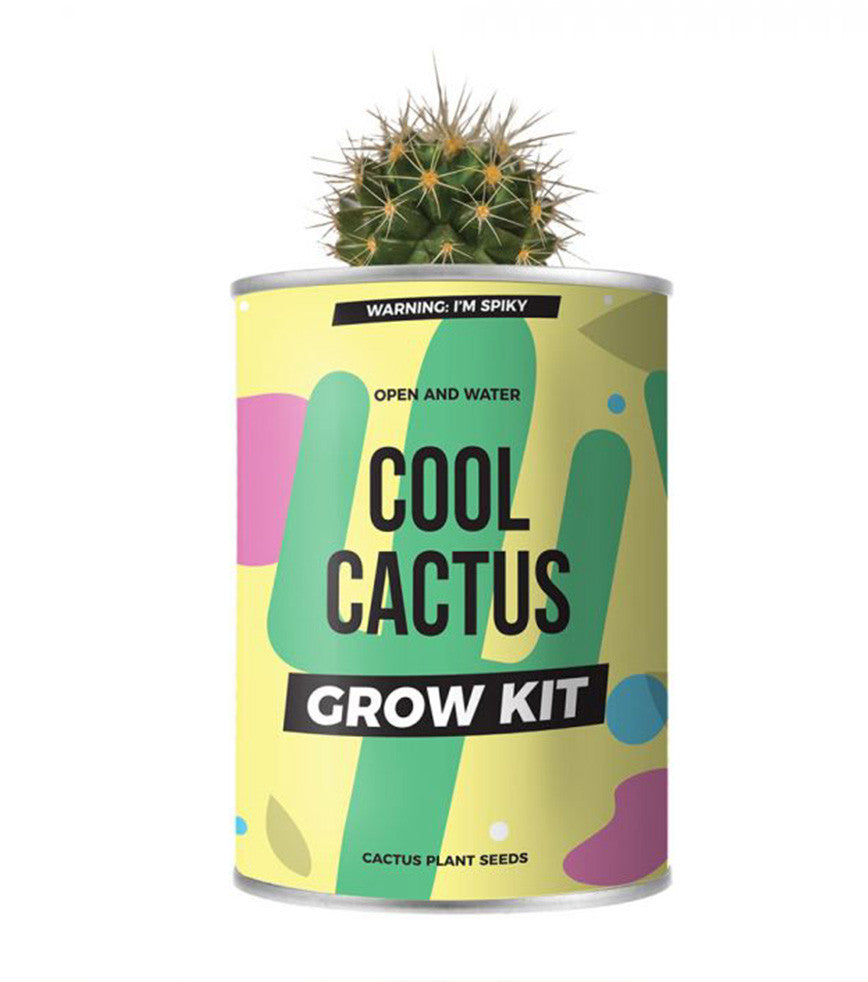 Kit cactus à faire pousser