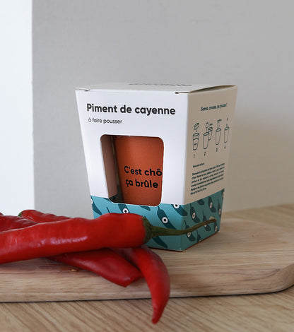 Piment à faire pousser  L'Avant Gardiste